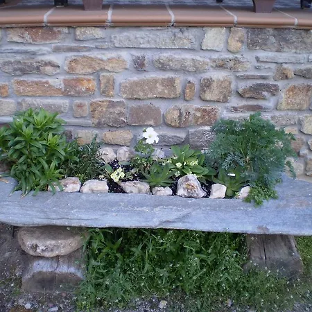 El Molino Del Botero *